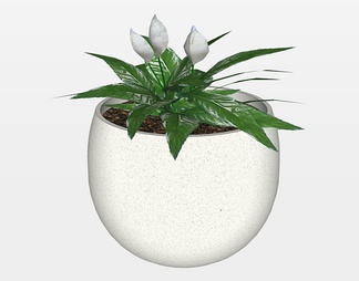 盆栽植物su免费模型下载(1)