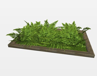 盆栽植物su免费模型下载(1)