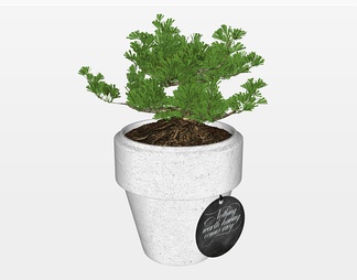 盆栽植物su免费模型下载(1)