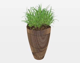 盆栽植物su免费模型下载(1)