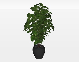 盆栽植物su免费模型下载(1)