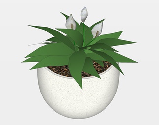 盆栽花卉植物su免费模型下载(1)