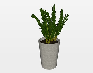 植物盆栽su免费模型下载(1)