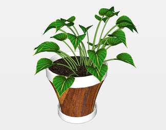 植物盆栽su免费模型下载(1)