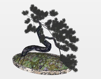 植物盆栽su免费模型下载(1)