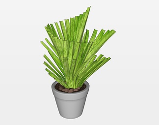 盆栽植物su免费模型下载(1)