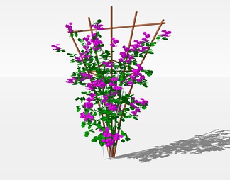 灌木su免费模型下载(1)