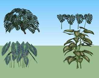 景观植物su免费模型下载(1)