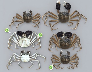 螃蟹3d免费模型下载(1)