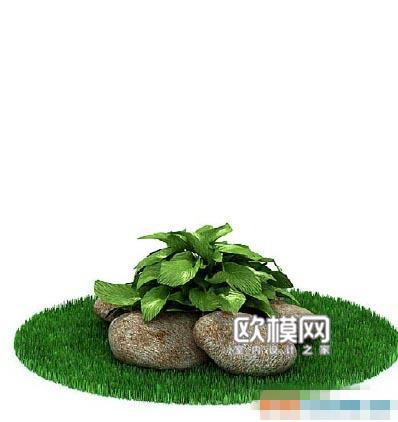 q185高精度植物3d模型